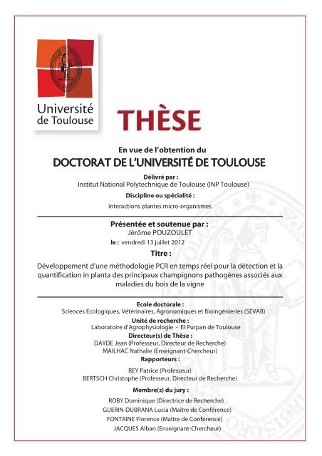 Developpement D Une Methodologie Pcr En Temps Reel Pour La