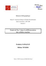 Etude de Pax 3 dans la différenciation des cellules souches - M2 ...