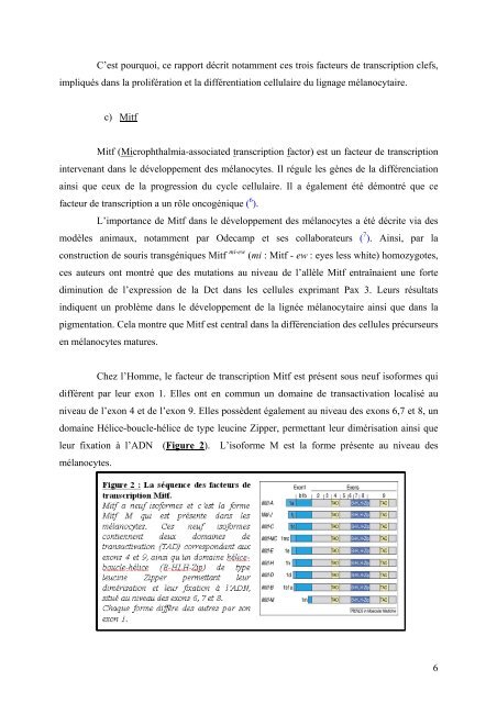 Etude de Pax 3 dans la différenciation des cellules souches - M2 ...