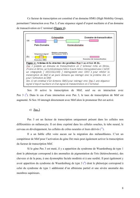 Etude de Pax 3 dans la différenciation des cellules souches - M2 ...