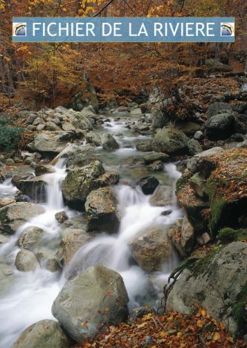 Fichier de la rivière - La truite de corse