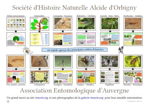 Société d'Histoire Naturelle Alcide d'Orbigny Association ...