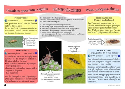 Société d'Histoire Naturelle Alcide d'Orbigny Association ...