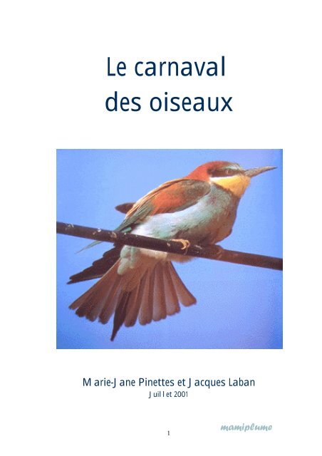 Le Carnaval Des Oiseaux Mamiplume