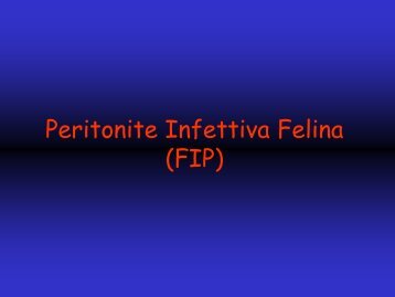 Peritonite Infettiva Felina (FIP)