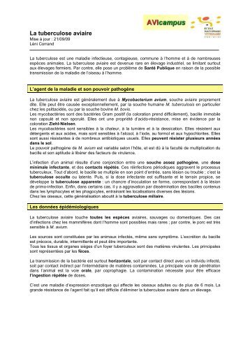 La tuberculose aviaire.pdf - Avicampus