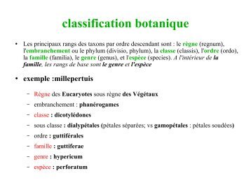 classification botanique - Club MGEN