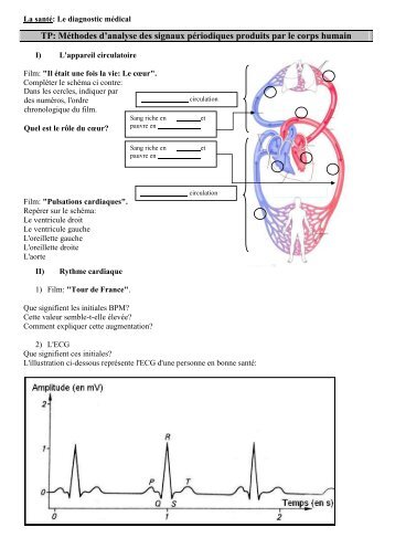 Méthodes d'analyse des signaux périodiques produits par le corps ...