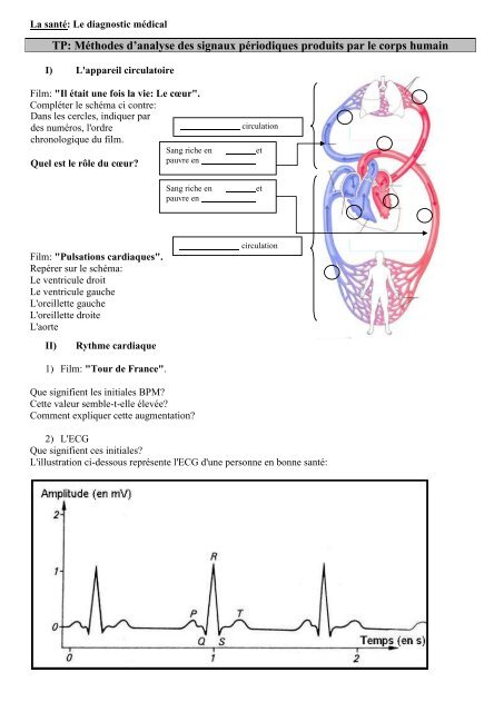 Méthodes d'analyse des signaux périodiques produits par le corps ...