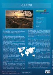 La limule - Médiathèque – La Cité de la Mer