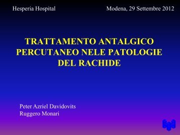 Relazione Davidovits