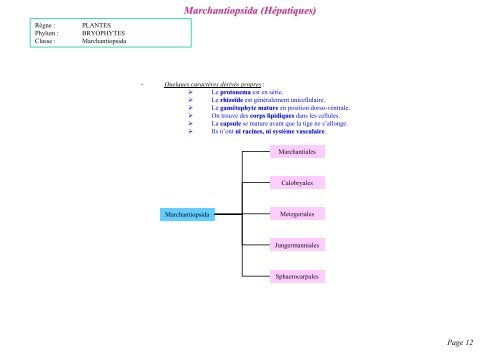 PDF 1 page par feuille