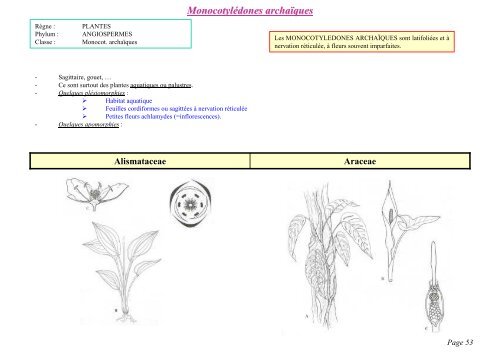 PDF 1 page par feuille