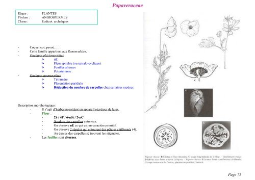 PDF 1 page par feuille