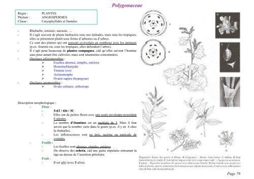 PDF 1 page par feuille