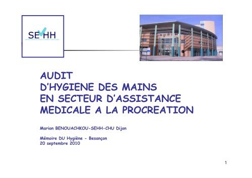 Audit clinique sur l'hygiène des mains en secteur d ... - SF2H