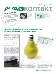 Die Oberland Energie AG setzt mit der Nutzung - Dr. Eicher + Pauli AG