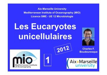 Les Eucaryotes unicellulaires