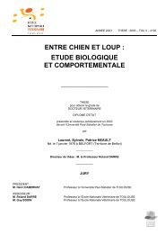 Le Livre Version Pdf Entre Chien Et Loup