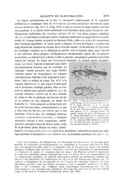 S-1382173-6_PERRIER_Traite_Zoologie_1903.pdf