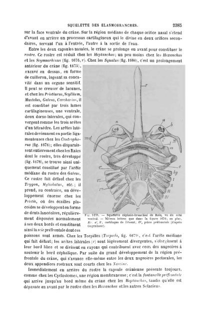 S-1382173-6_PERRIER_Traite_Zoologie_1903.pdf
