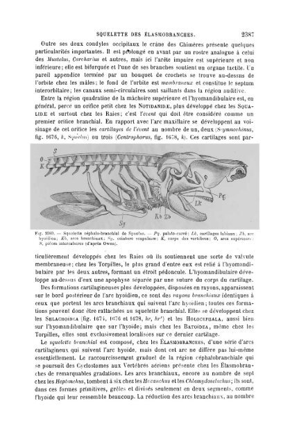 S-1382173-6_PERRIER_Traite_Zoologie_1903.pdf