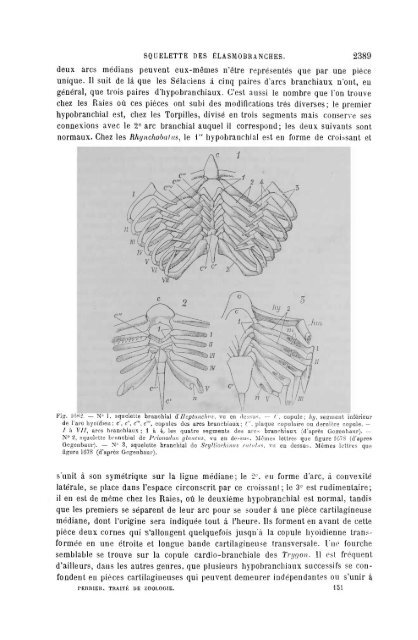 S-1382173-6_PERRIER_Traite_Zoologie_1903.pdf