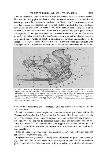 S-1382173-6_PERRIER_Traite_Zoologie_1903.pdf