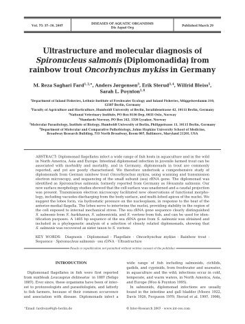 Ultrastructure and molecular diagnosis of Spironucleus salmonis ...
