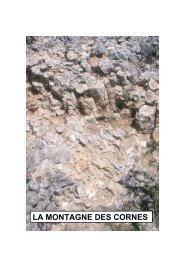 LA MONTAGNE DES CORNES - ASNAT