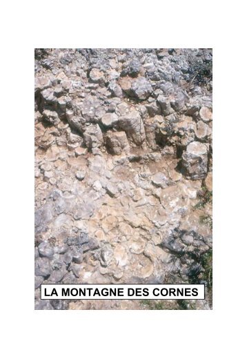 LA MONTAGNE DES CORNES - ASNAT