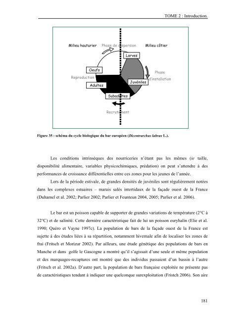 Approche quantitative de la fonction de nourricerie jouée par les ...