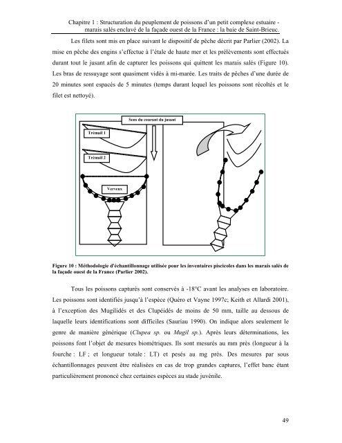 Approche quantitative de la fonction de nourricerie jouée par les ...