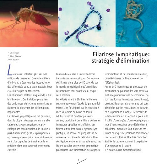 L Filariose lymphatique - Global Alliance to Eliminate Lymphatic ...