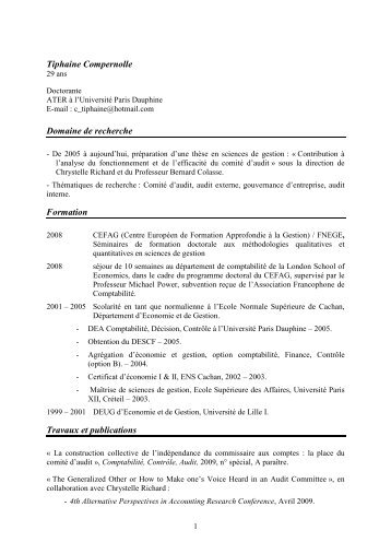 exemple cv master cca