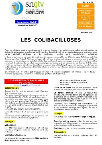 LES COLIBACILLOSES - Fiches ovines 2012 de la SNGTV