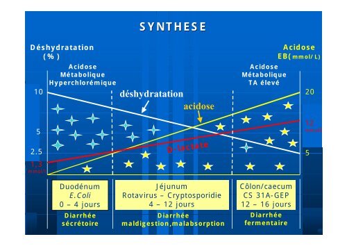 La réhydratation du veau Système Expert