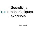 Physiologie des sécrétions pancréatiques exocrines
