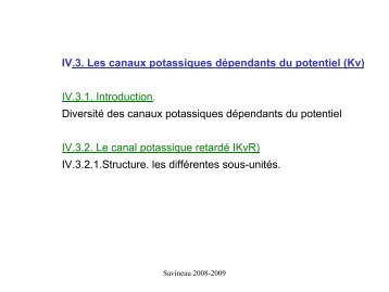IV.3. Les canaux potassiques dépendants du potentiel (Kv) IV.3.1 ...