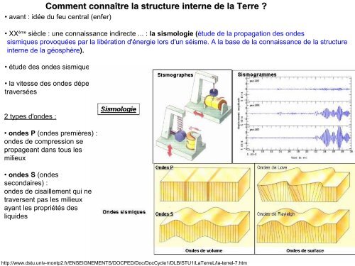 Chapitre 2 : structure et mécanismes