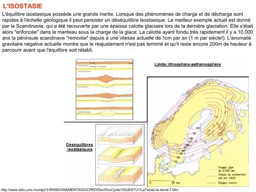 Chapitre 2 : structure et mécanismes