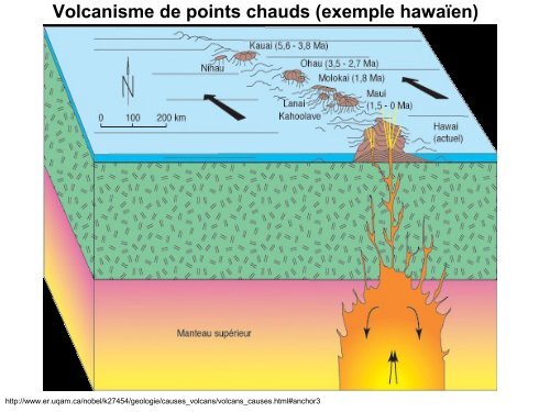 Chapitre 2 : structure et mécanismes