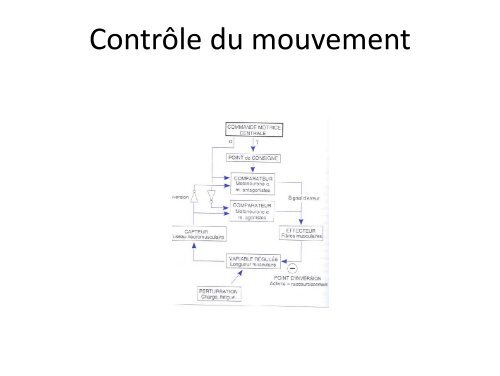 Les différents types de Les différents types de mouvements