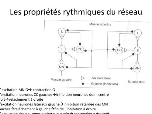 Les différents types de Les différents types de mouvements