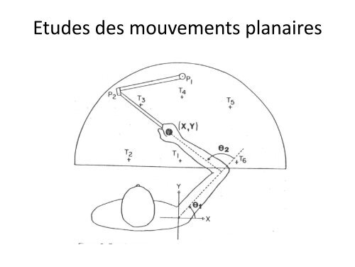 Les différents types de Les différents types de mouvements