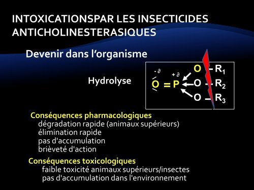 Toxiques organiques