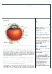 Eye and Gaze.pdf - 123SeminarsOnly