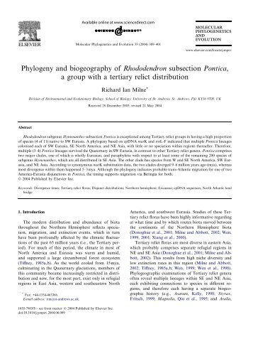 UNDERSTANDING RELATEDNESS USING ANATOMICAL CHARACTERIZATION