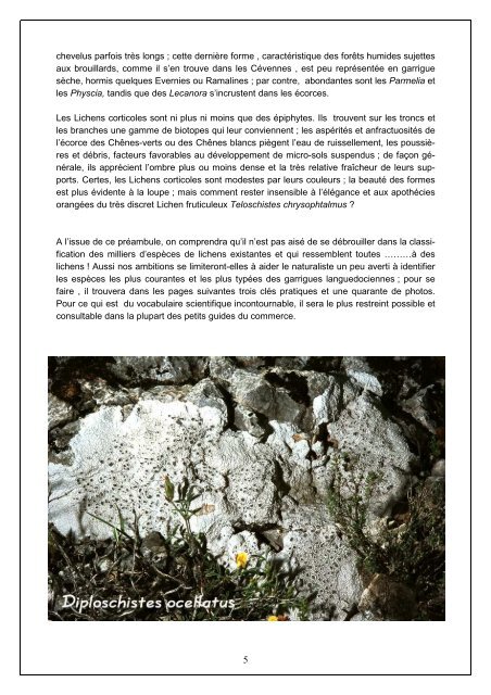 Lichens - La Garrigue Botanique