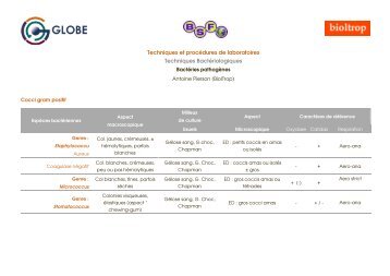 Techniques et procédures de laboratoires Techniques ... - GLOBE